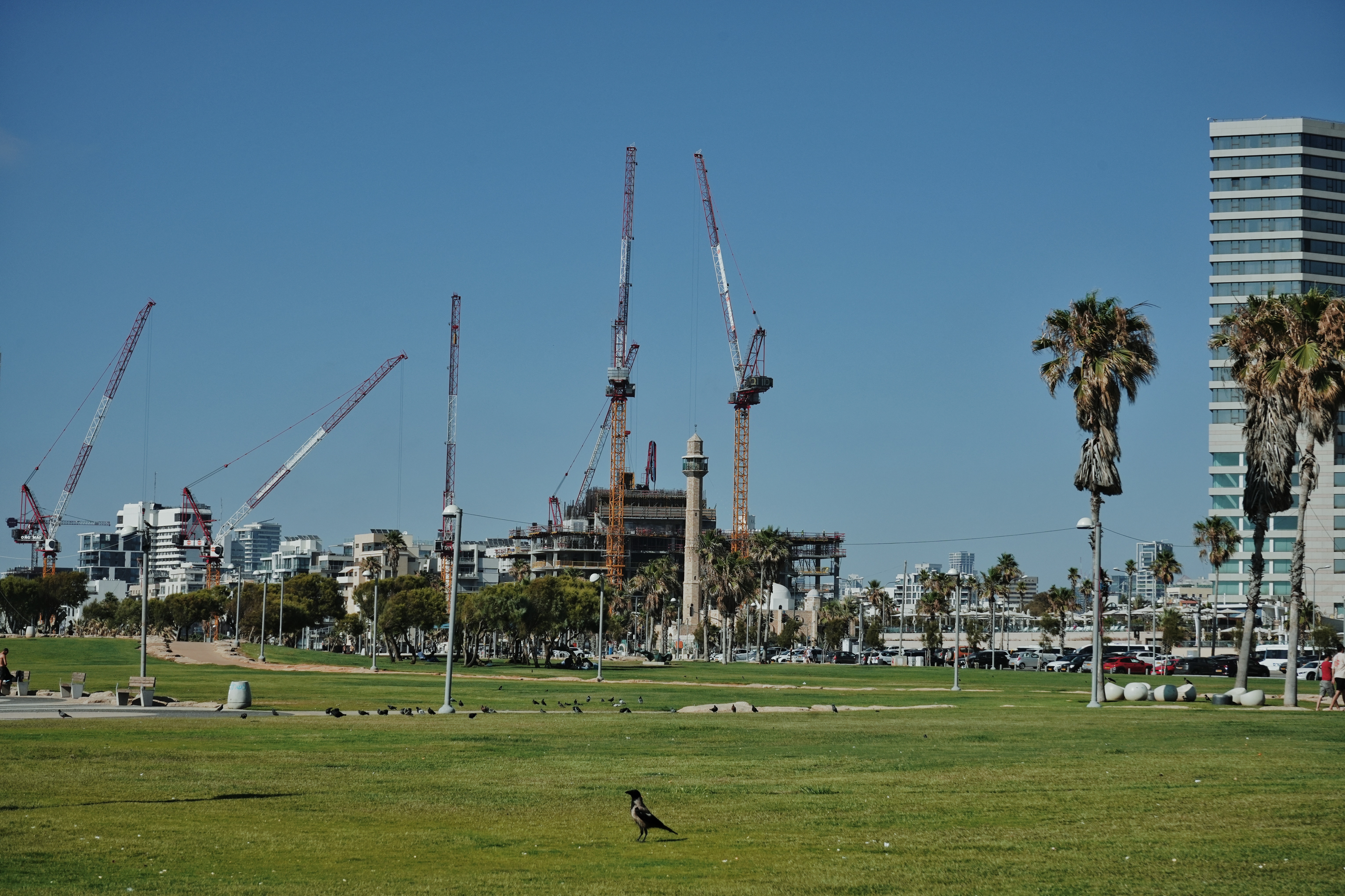 Travel to Isreal photograph 6